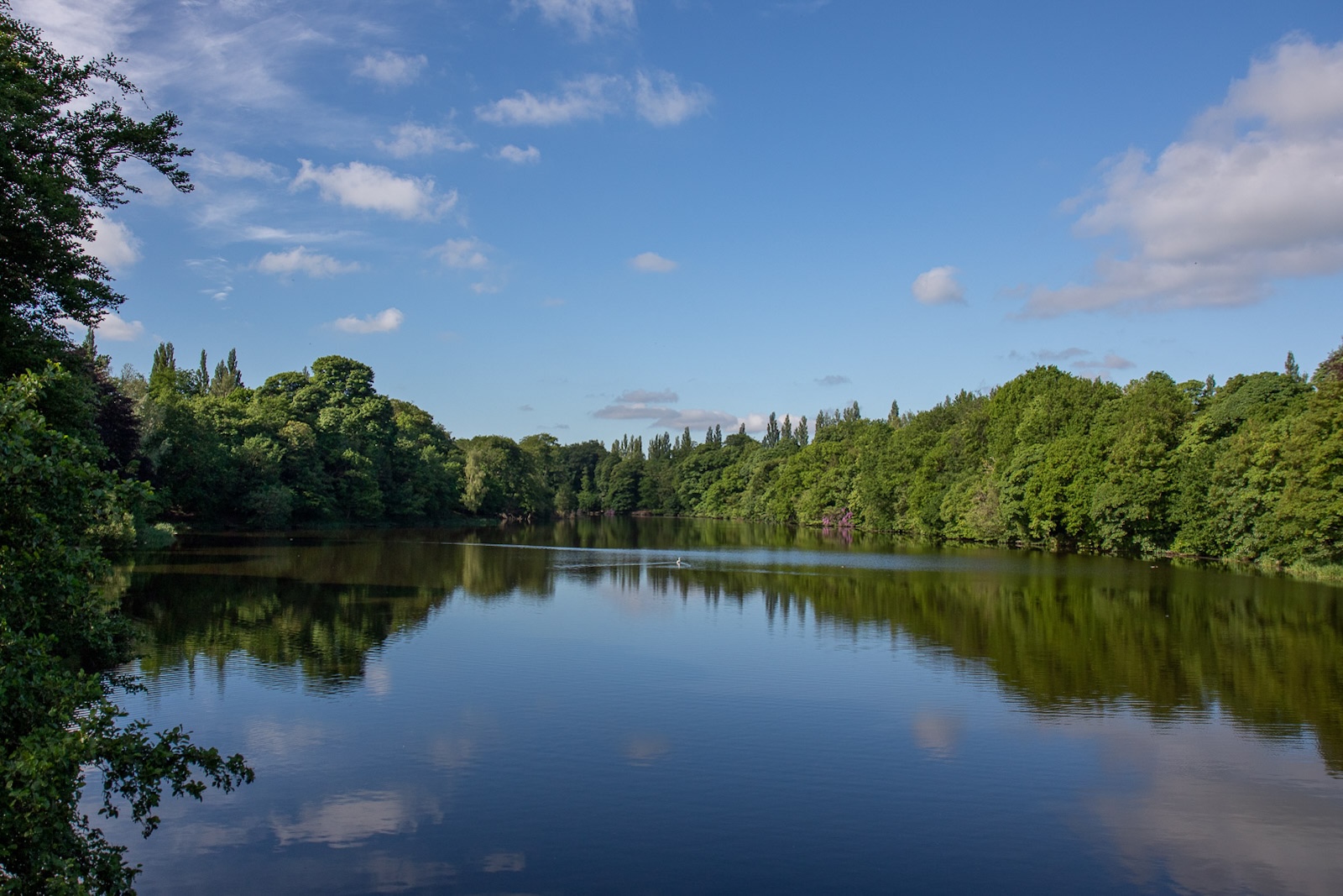 Lymm dam