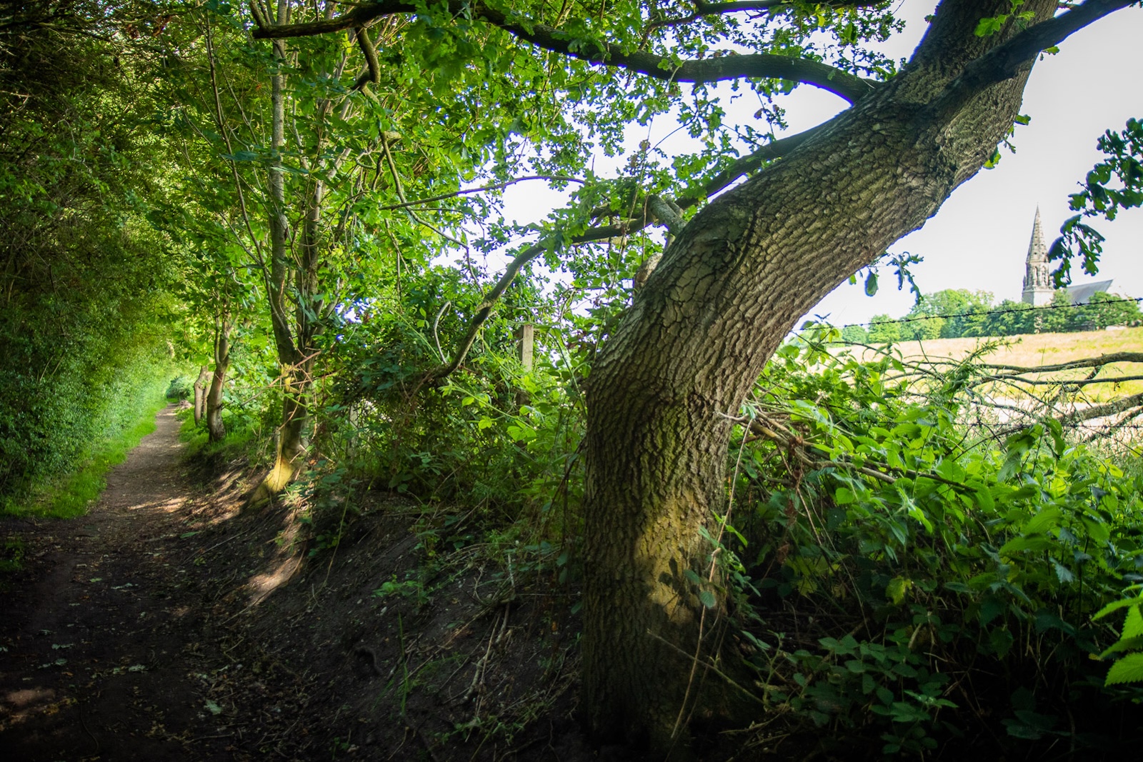 Sutch Lane