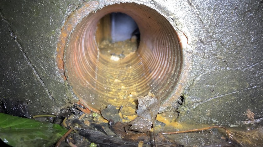 Sensor water access